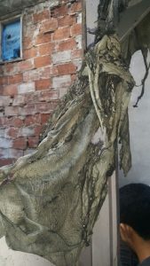 IMG 20170829 WA0186