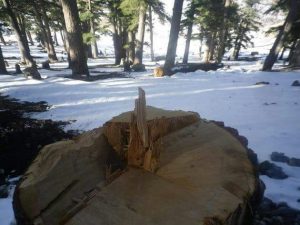 IMG 20170912 WA0028