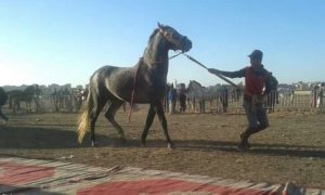 IMG 20171118 WA0348