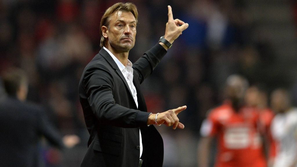 herve renard