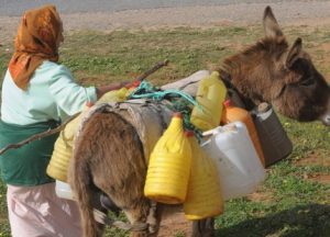 moroccanwomenagri 3 moroccanwomenagri