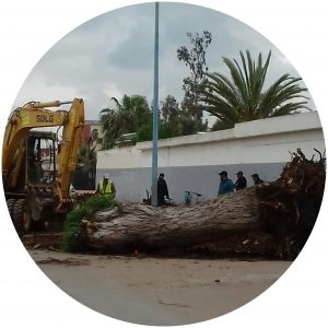 aviary 1525386201269