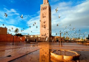 ob 1fcc53 africa morocco marrakech 009 748x523