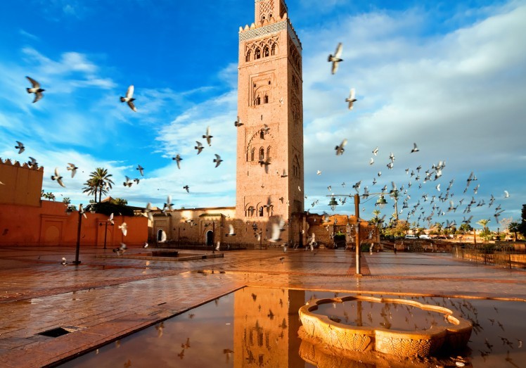 ob 1fcc53 africa morocco marrakech 009