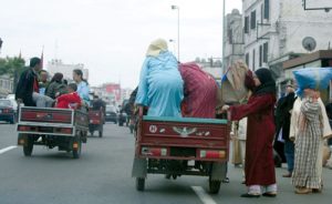 تريبورتور