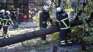 torm called Herwart in Hamburg Germany October 2017. REUTERS