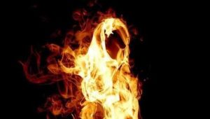 25112013 feu 523x297