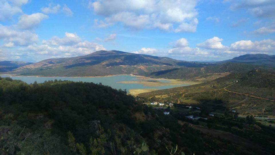 تلوث مياه الشرب بطنجة بين الإشاعة ونتائج تحاليل مختربات الانتاج والتوزيع 1 received 263994930929039