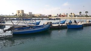 received 2024749464312652