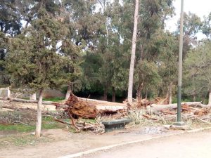 received 295841907742140