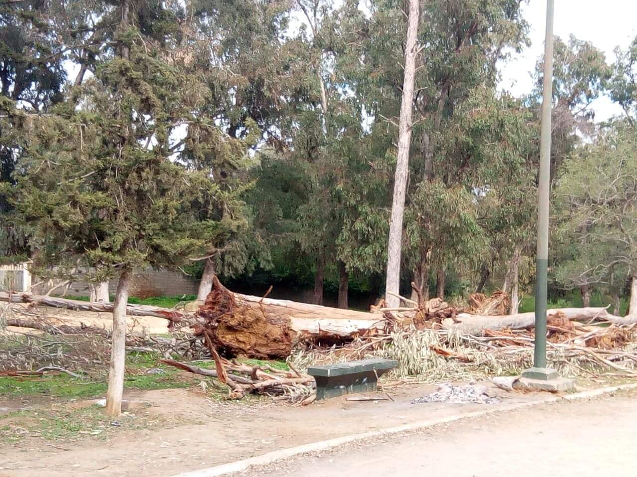 received 295841907742140