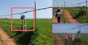 received 310683212965645