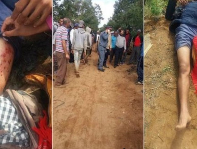 IMG 20190430 WA00652