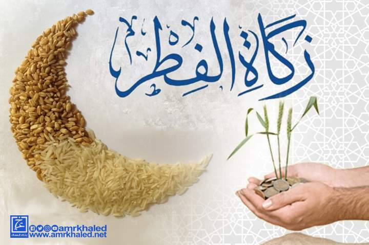 620181114042816255667