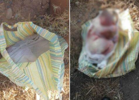 إنزكان : العثور على جثة رضيع متخلى عنه قرب مطار المسيرة. 1 IMG 20190508 WA0044