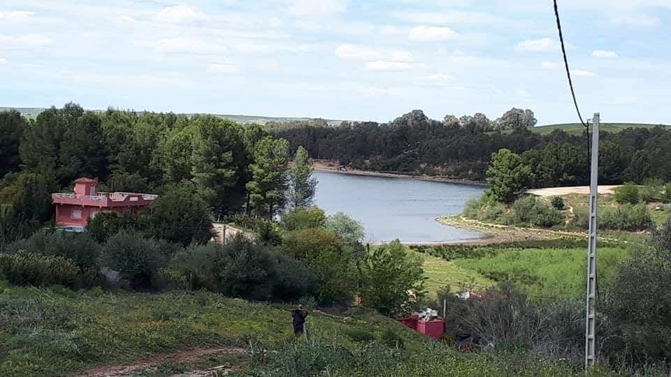 received 2188970034528958