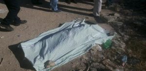 36ec9c5eff9b4c841aa08bfc8952c537 224