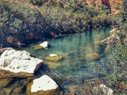 FB IMG 1565370780491