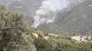 received 441758636416452