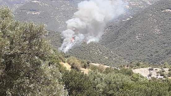 حرائق متكررة تلتهم المجال الغابوي باقليم تازة 1 received 441758636416452