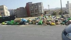 received 487641442023066