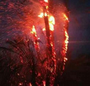 IMG 20190901 WA0061 1