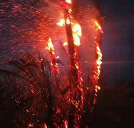 خطير : صاعقة رعدية تضرب واحات أكدز بزاكورة .. الطبيعة تتحدث.. 1 IMG 20190901 WA0061 1