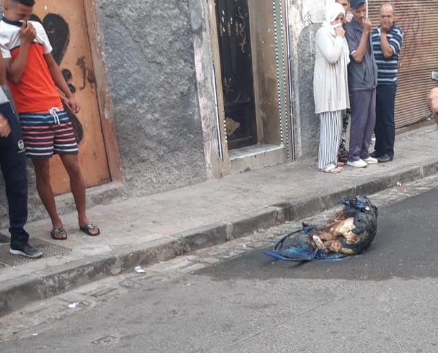 عاجل !! إلقاء القبض على المتهم بحرق الفتاة وسط ازقة حي الفرح بالبيضاء . 1 IMG 20190902 WA00312