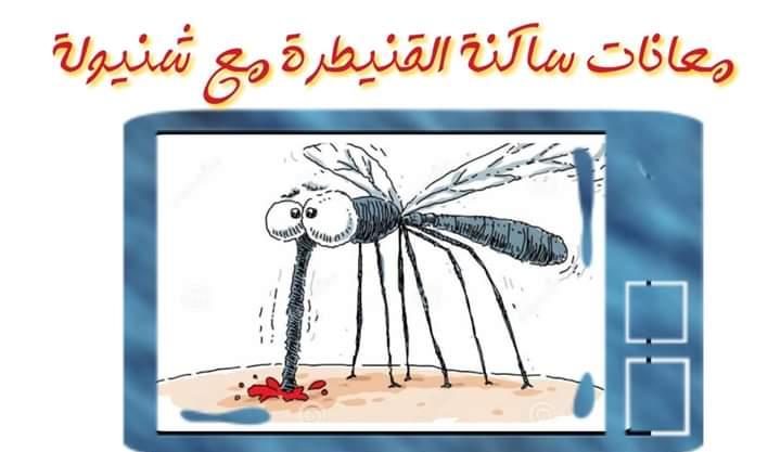 بعوض الناموس يزيد من معاناة سكان القنيطرة 1 IMG 20190910 WA0001