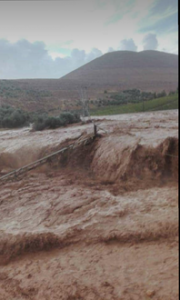 received 518631132231949