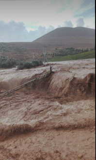 received 518631132231949