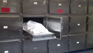 5421f50304a0ad97745e2f24