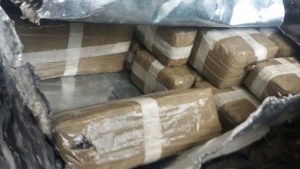 17668586 446559409014261 1496373994 o