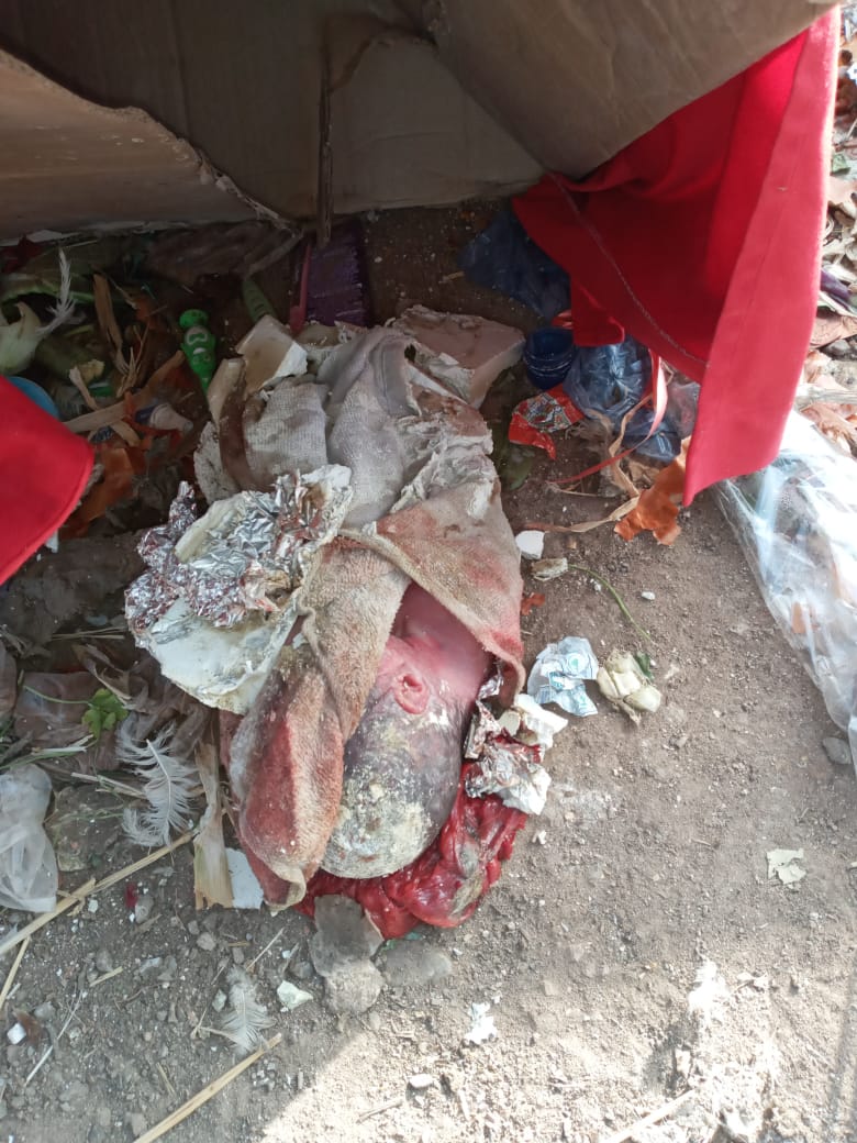 عاجل : العثور على رضيع جثة هامدة قرب حاوية للأزبال بالدار البيضاء 1 IMG 20200312 WA0063