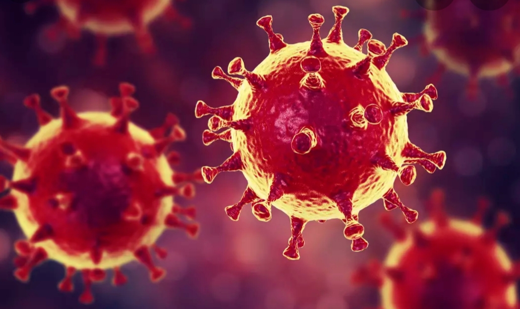 جهة الرباط تتصدر الجهات من حيث عدد الاصابات لفيروس كورونا 1 IMG 20200321 WA0157