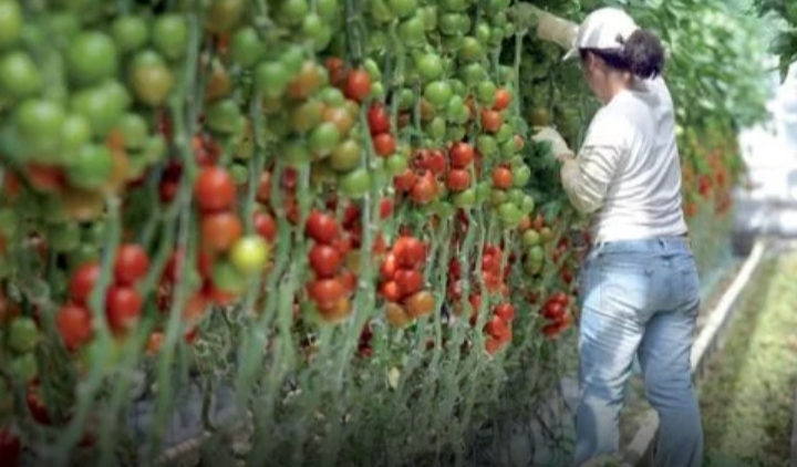 مصائب قوم عند قوم فوائد. 1 IMG 20200331 WA0045