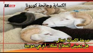 IMG 20200503 WA0051 1