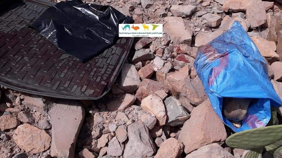 الفرع الجهوي للقنص لجهة سوس ماسة يطالب بتشديد العقوبات في حق قناص أنزي 1 IMG 20200511 WA0028