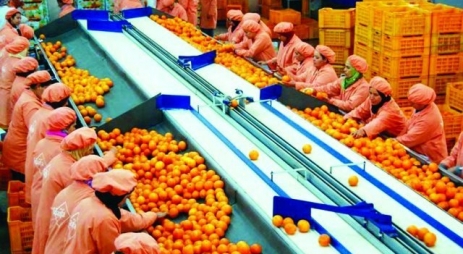 تارودانت : قرار خفض نسبة المياه المخصصة للسقي بحوض الكردان يثير استياء منتجي الحوامض . 1 IMG 20200522 WA0072