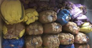 49023127 C680 47A6 BB6A A8218471AD28