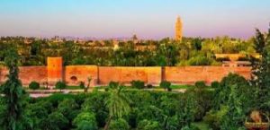 IMG 20200608 WA0017 1