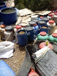 IMG 20200608 WA0153 1