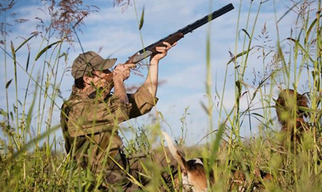 Wild hunting