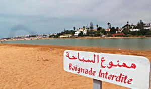 e68c545b8b461b29709563a223d05a14 XL