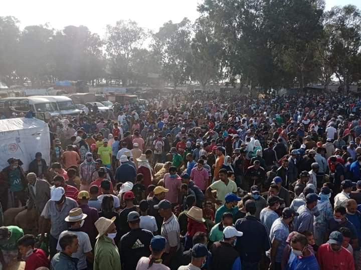 FB IMG 1595763217855