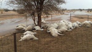 ab4f2318 ea6e 4f1b 8f71 31c9d12cb70f 550x309 1