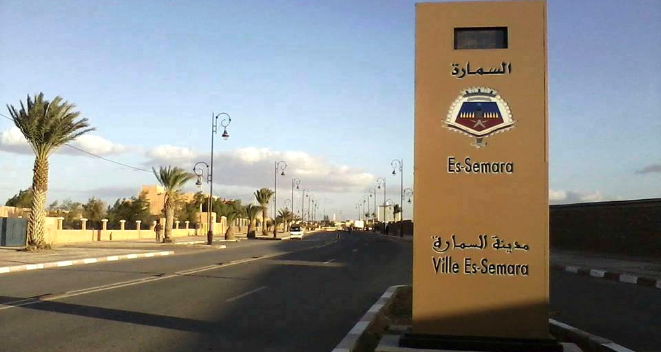 12004794 1650680365204703 7827475811658613045 n