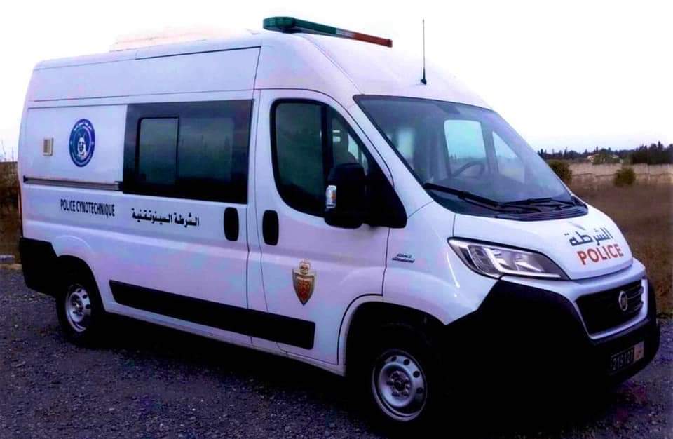 المديرية العامة للأمن الوطني تضع رهن إشارة مصالحها 660 مركبة جديدة تسمح لها بالنهوض الأمثل بمهامها (بلاغ DGSN) 6 IMG 20201123 WA0099 1