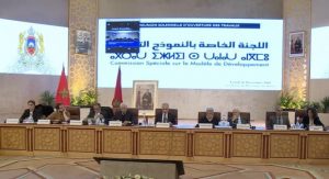 اللجنة الخاصة بالنموذج التنموي 1