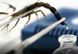 IMG 20210101 WA0055 1